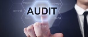 neogys ressources humaines audit